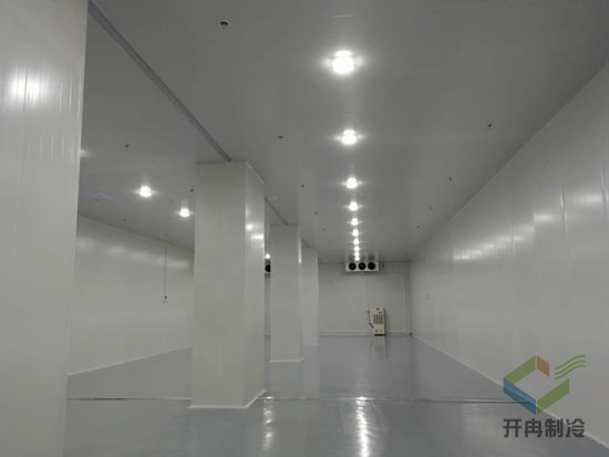 建造醫藥冷藏庫安裝規范標準有哪些？