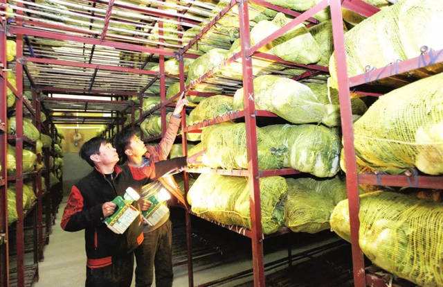 蔬菜保鮮庫 蔬菜保鮮庫