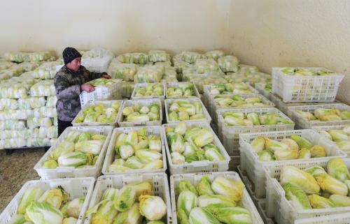 5000噸蔬菜保鮮庫 5000噸蔬菜保鮮庫