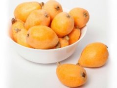 枇杷冷庫貯藏技術(shù)介紹，枇杷冷庫造價是多少