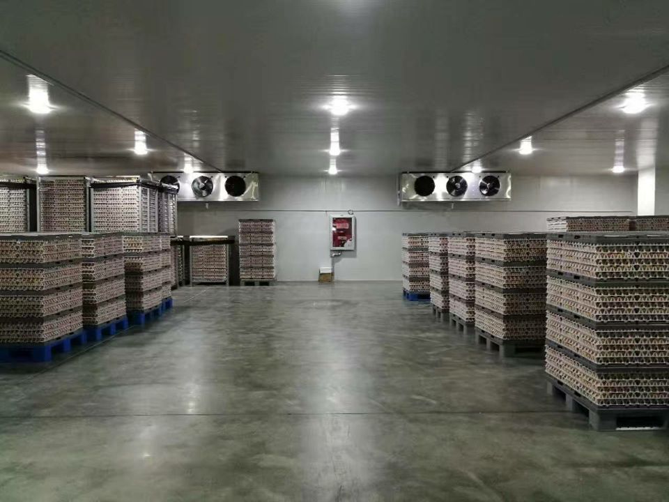 500平米食品冷庫(kù) 500平米食品冷庫(kù)