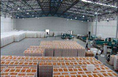 10000噸水果保鮮冷庫 10000噸水果保鮮冷庫