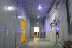 建一個(gè)10000立方米大型冷庫需要花多少錢?