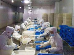 安裝一個(gè)3000立方低溫冷凍庫需要投資多少錢?