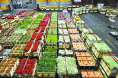 800平米鮮花保鮮冷庫安裝費用是多少?