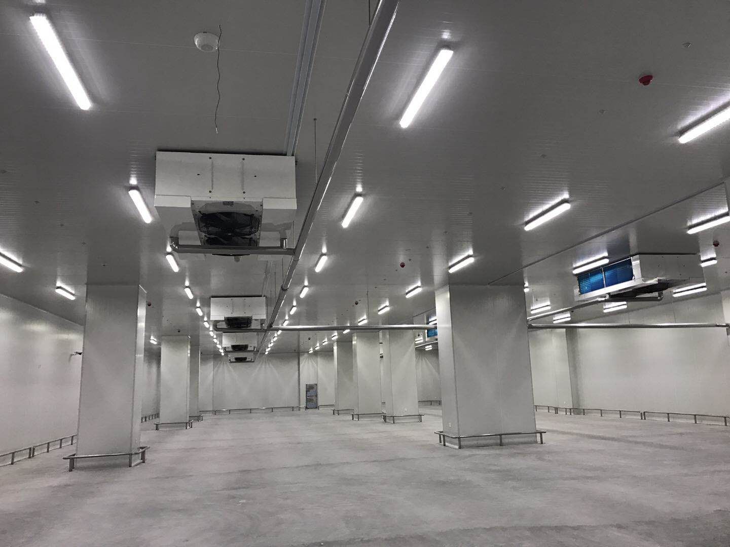 河北尚品15000m3倉儲(chǔ)物流低溫冷藏冷凍庫新工程案例