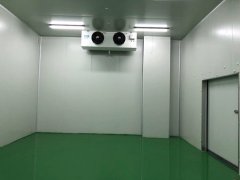 大型生鮮配送冷庫選址及(水產冷凍庫)設計方案報價