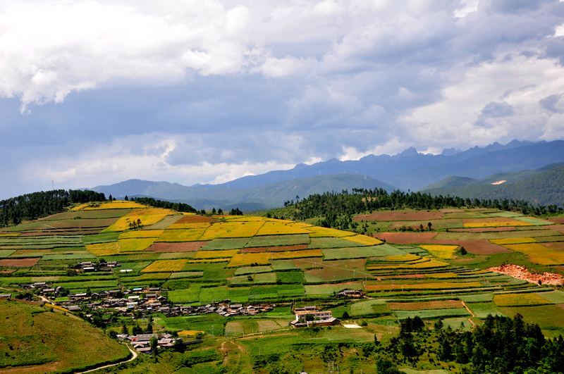 云南冷庫市場 云南冷庫市場