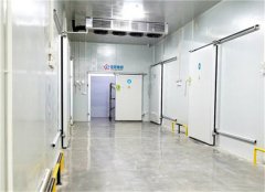 2020年冷庫值不值得投資?冷庫現狀如何?