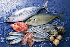 建一個(gè)速凍冷庫多少錢/速凍冷庫價(jià)格