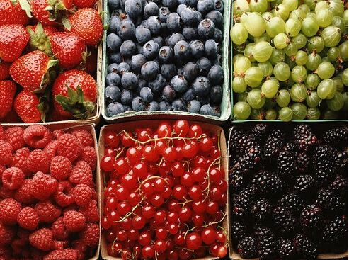 水果保鮮冷庫(kù)