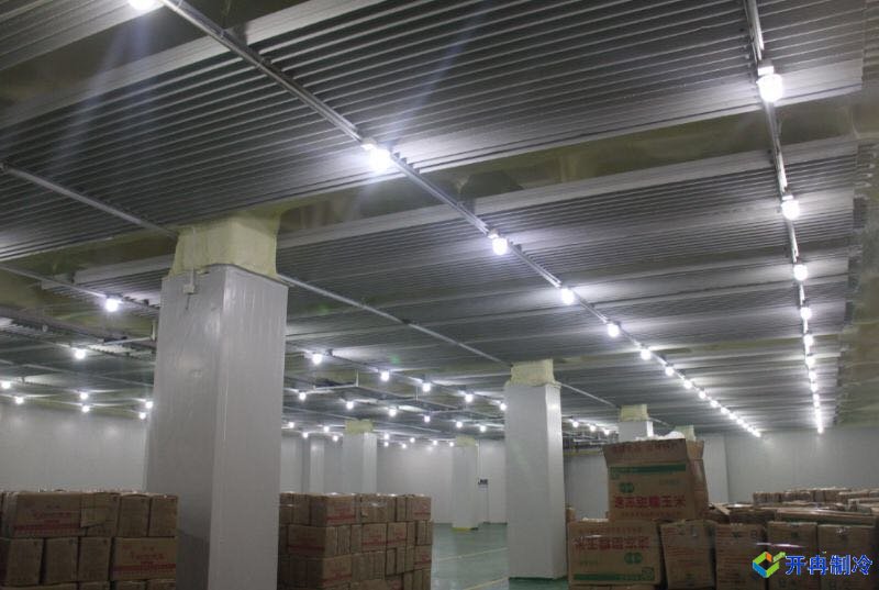 上海開(kāi)冉制冷為客戶建一個(gè)3000平水產(chǎn)冷凍庫(kù)案例完工內(nèi)景