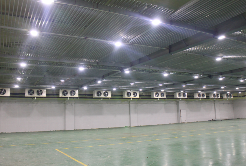 3000平米食品肉類冷凍庫(kù)常溫倉(cāng)庫(kù)改造費(fèi)用