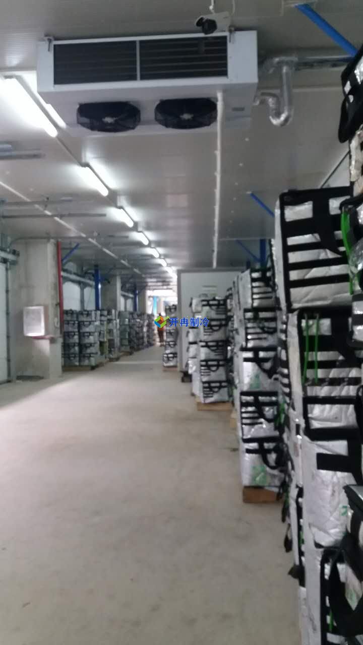 1300平方米的低溫冷庫設(shè)計，冰庫冷庫造價怎么算？