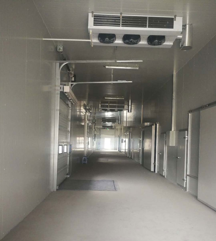 5000m3冷鏈物流工程建設(shè),低溫物流倉(cāng)庫(kù)安裝制冷設(shè)備投資預(yù)算