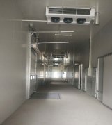 -25℃低溫海鮮魚肉加工廠冷凍庫安裝設(shè)計(jì)標(biāo)準(zhǔn)費(fèi)用多少？