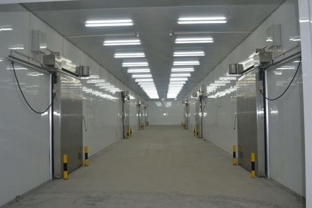 冷庫(kù)多個(gè)分間實(shí)拍圖速凍冷庫(kù) 冷庫(kù)多個(gè)分間實(shí)拍圖速凍冷庫(kù)